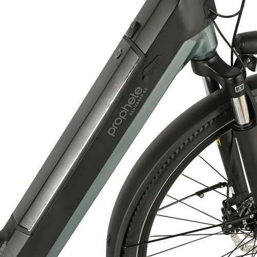Prophete Geniesser 4.0 Electric Bike 28" 7-Speed, Frame Size 19" (48 cm), Black/Green