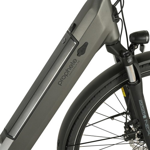 Электровелосипед Prophete Geniesser 3.0 City 28" // N7, размер 19" (48 см) (серый)