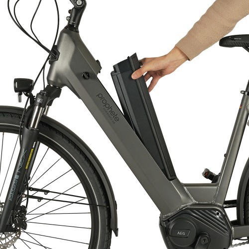 Prophete Geniesser 3.0 City electric bike 28" // N7, size 19" (48 cm) (grey)