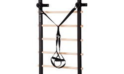 Daugiafunkcės gimnastikos kopėtėlės HMS DW2708