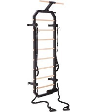 Daugiafunkcės gimnastikos kopėtėlės HMS DW2708