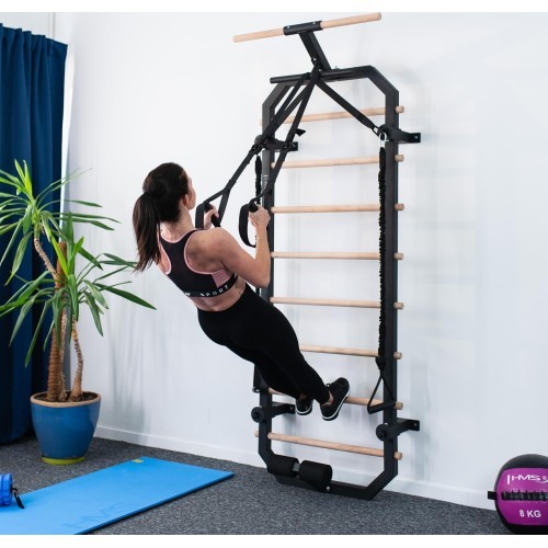 Daugiafunkcės gimnastikos kopėtėlės HMS DW2708
