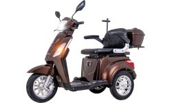 Triratis elektrinis paspirtukas inSPORTline Zorica - Ruda