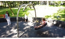 Single Swing Inter-Play Birdo
