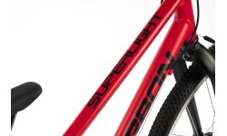 Dviratis Karbon Superlight 24 red