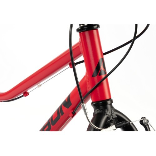 Dviratis Karbon Superlight 24 red