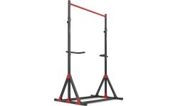 Adjustable Pull-up / Dip Station