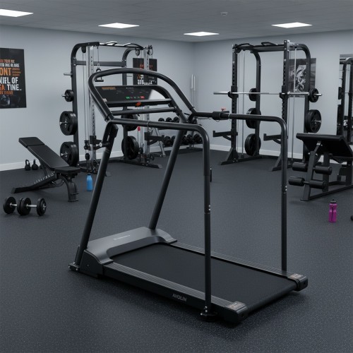 Treadmill inSPORTline Avolin