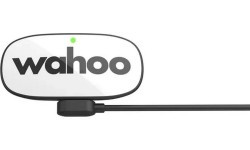 Wahoo TRACKR HR Heart Rate Strap Bluetooth/ANT+ (WFBTHR05W)