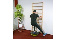 Švediška gimnastikos sienelė inSPORTline Steadyline 250x90cm