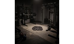 Ketaus svorio diskas TCN HMS, 1,25 kg - 10 kg