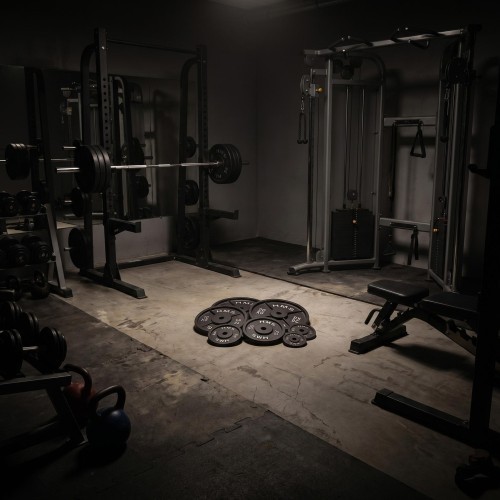 CAST IRON WEIGHT PLATE TCN HMS – GYM BARBELL PLATE FOR STRENGTH TRAINING - 25 kg
