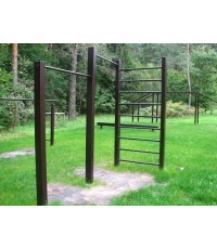 Double horizontal bar with ladder
