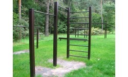 Double horizontal bar with ladder