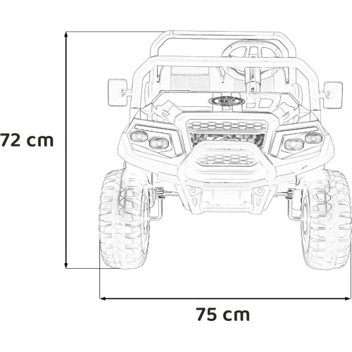 Champion Black Pick-Up Vehicle
