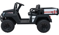 Champion Black Pick-Up Vehicle