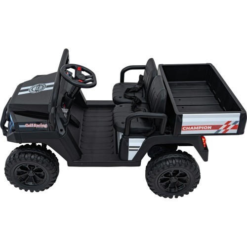 Champion Black Pick-Up Vehicle