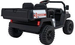 Champion Black Pick-Up Vehicle