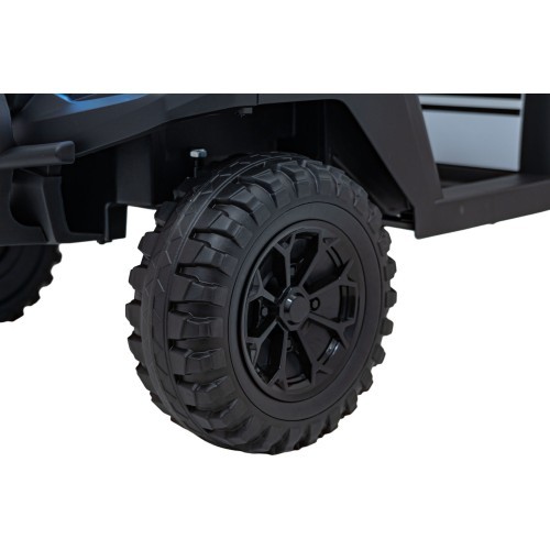 Champion Black Pick-Up Vehicle