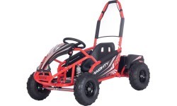 Electric Gokart Vehicle MAIGHTY Red