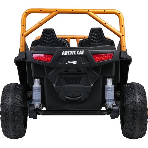 Elektrinis automobilis Arctic Cat WILDCAT XX Pink