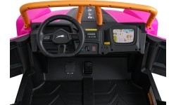 Elektrinis automobilis Arctic Cat WILDCAT XX Pink