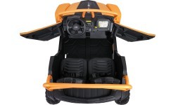 Buggy Arctic Cat WILDCAT XX Gold
