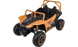 Buggy Arctic Cat WILDCAT XX Gold