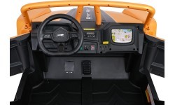 Buggy Arctic Cat WILDCAT XX Gold