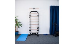 Daugiafunkcės gimnastikos kopėtėlės HMS DW2708