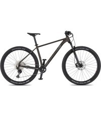 Kalnų dviratis 4EVER Prodigy Race 29” – 2026 - Juoda/holograma