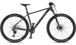 Kalnų dviratis 4EVER Prodigy Race 29” – 2026 - Juoda/holograma