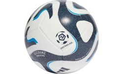 Adidas Futbolo Kamuolys Training White Grey IQ4932