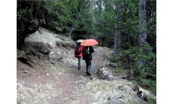 EuroSchirm Umbrella 'light trek automatic'