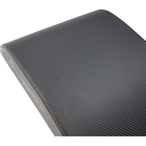 Ab Mat inSPORTline Pro
