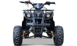 Keturratis WILDPEAK 110cc, juodas