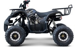 Keturratis WILDPEAK 110cc, juodas