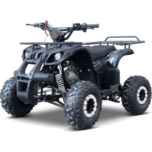 Keturratis WILDPEAK 110cc, juodas