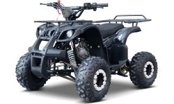 Keturratis WILDPEAK 110cc, juodas