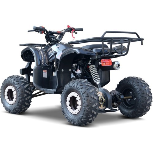 Keturratis WILDPEAK 110cc, juodas