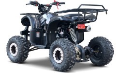 Квадроцикл WILDPEAK 110cc, чёрный