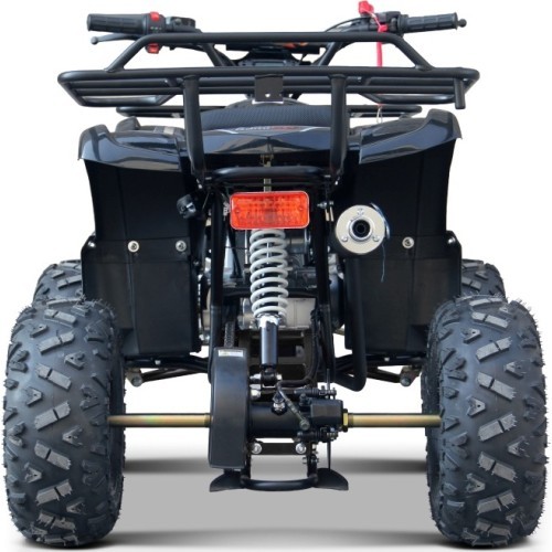 Keturratis WILDPEAK 110cc, juodas