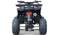 Keturratis WILDPEAK 110cc, juodas