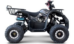 WILDPEAK 110cc Black Combustion Quad Vehicle