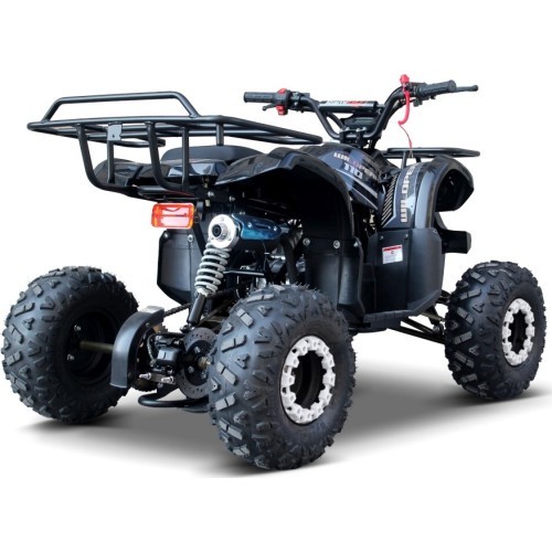 WILDPEAK 110cc Black Combustion Quad Vehicle