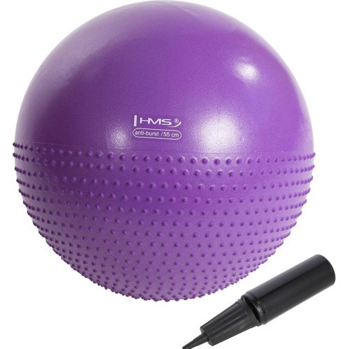 YB03 NEW 55CM VIOLET GYM BALL HMS