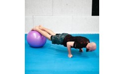 Naujas gimnastikos kamuolys HMS YB03, 55 cm, violetinis