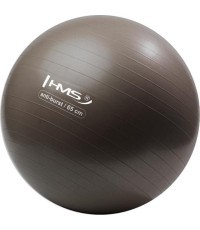 Gimnastikos kamuolys HMS YB02N 65 cm, grizzly