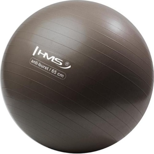 Gimnastikos kamuolys HMS YB02N 65 cm, grizzly