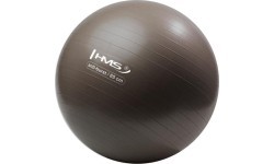 Gimnastikos kamuolys HMS YB02N 65 cm, grizzly